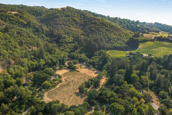 Glen Ellen Vineyard Estate With Pool and Hot Tub image 52
