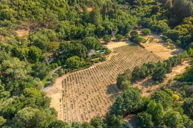 Aerial view of a sunlit hillside vineyard with neat vine rows and a farmhouse with pool nestled among dense oak woodland.