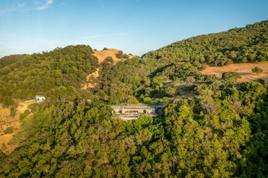 Sonoma Mountain Estate image 49