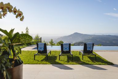 Sonoma Mountain Estate image 40