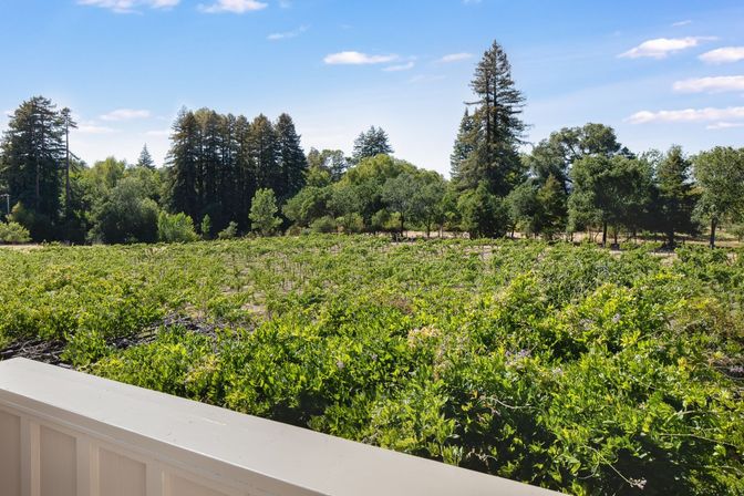 Glen Ellen Vineyard Estate With Pool and Hot Tub image 24