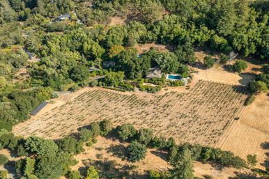 Glen Ellen Vineyard Estate With Pool and Hot Tub image 48