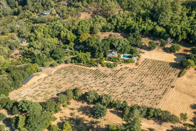 Glen Ellen Vineyard Estate With Pool and Hot Tub image 48