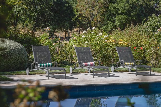 Glen Ellen Vineyard Estate With Pool and Hot Tub image 5