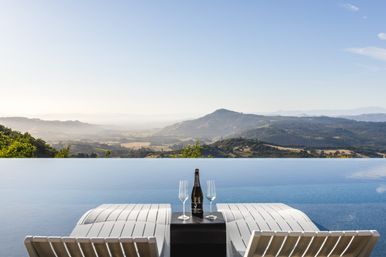 Sonoma Mountain Estate image 45