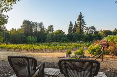 Glen Ellen Vineyard Estate With Pool and Hot Tub image 54