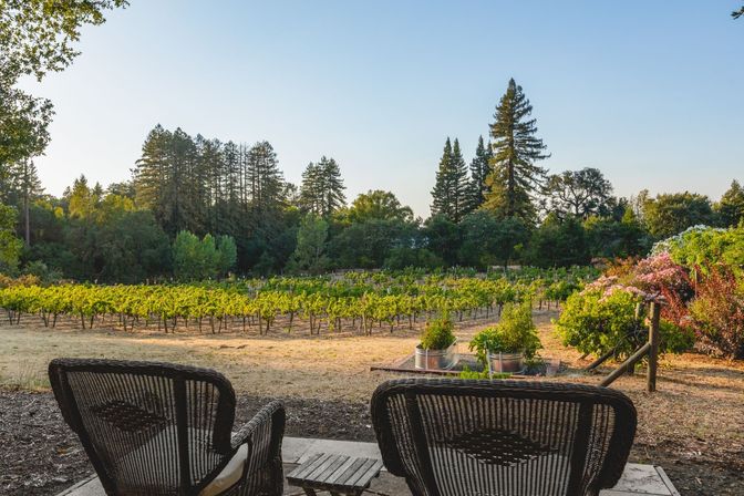 Glen Ellen Vineyard Estate With Pool and Hot Tub image 54
