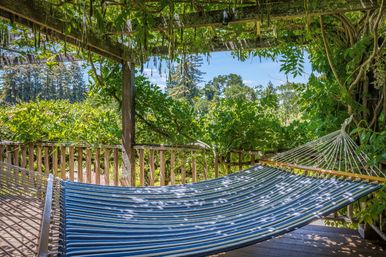 Glen Ellen Vineyard Estate With Pool and Hot Tub image 37
