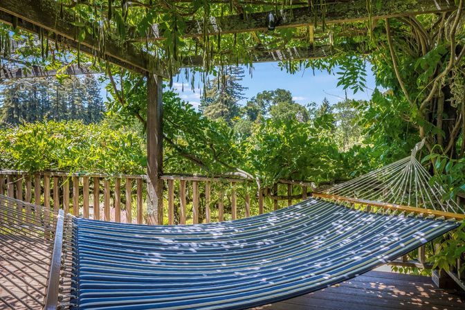 Glen Ellen Vineyard Estate With Pool and Hot Tub image 37