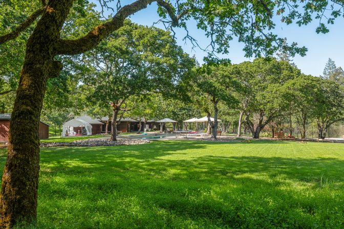 Sunlit oak‑shaded lawn leading to a resort-style backyard pool area with a white cabana, lounge chairs and umbrellas nestled among mature trees.