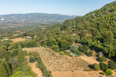 Glen Ellen Vineyard Estate With Pool and Hot Tub image 49