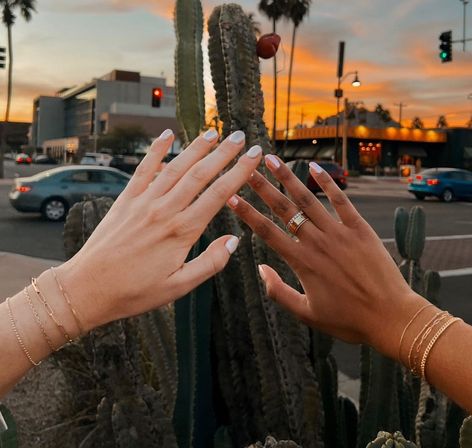 Two hands wearing gold bracelets and rings reach toward a tall cactus at a downtown desert street corner during a colorful sunset with palm trees and cars.