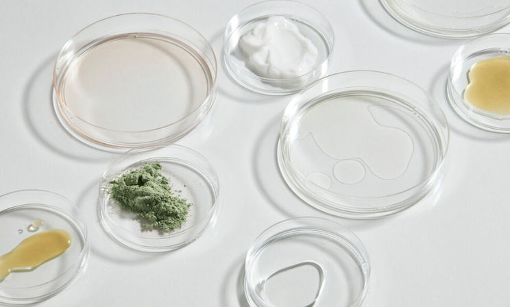 Overhead view of clear petri dishes on white surface holding cosmetic ingredient samples — green powder, white cream, amber and clear liquids — minimalist skincare lab setup