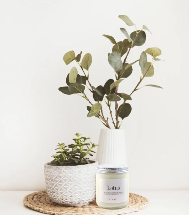 Minimalist home decor vignette: eucalyptus stems in a white vase, small succulent in a textured white pot on a woven placemat, and a jar candle labeled "Lotus" on a bright neutral background.