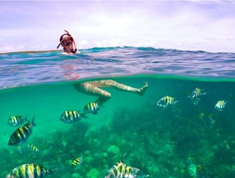 Snorkeler floating in clear turquoise tropical water, legs submerged among yellow-and-black striped reef fish above a coral reef