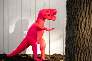 Playful bright pink T. rex sculpture standing in a yard against a white wooden fence, casting a dinosaur-shaped shadow and framed by a nearby tree trunk.
