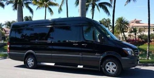 Sleek black passenger shuttle van parked under palm trees on a sunny, tropical street beside resort-style buildings
