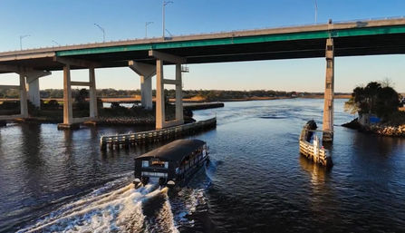 Aerial view of a covered tour boat carving a foamy wake beneath a concrete highway bridge over a coastal river with marshy banks at golden hour.