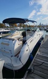 White cabin cruiser with navy bimini top docked at a busy urban marina pier, blue fenders along the hull and a city skyline visible under a sunny blue sky