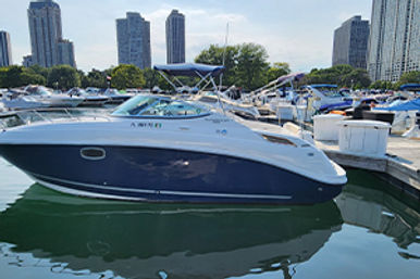 Sleek navy-and-white motorboat docked at an urban marina among other boats, with high-rise city skyline reflected in calm water on a sunny day.