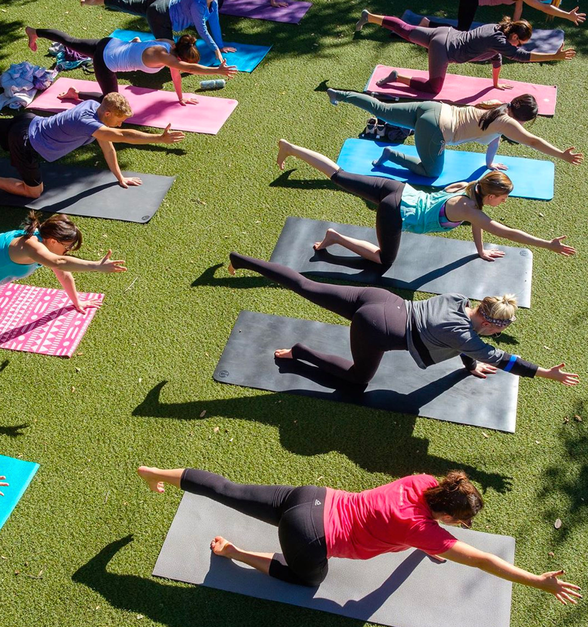 Group outdoor yoga class on a green lawn with participants on colorful mats performing bird-dog balance poses in a sunny park fitness session