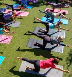 Group outdoor yoga class on a sunlit grassy lawn in a park, participants on mats performing bird-dog pose with one arm extended and opposite leg lifted