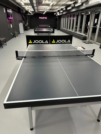 Ping Pong with a Pan American Champion in Jersey City image 4