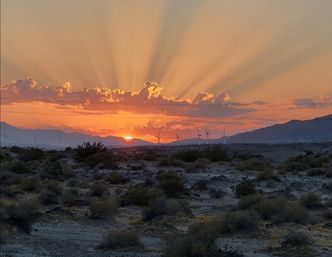 San Diego Dune RZR Tours &  Experience image 3