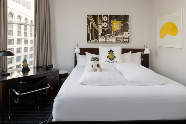 Staypineapple: Historic Boutique Hotel in Chicago's Loop image 3