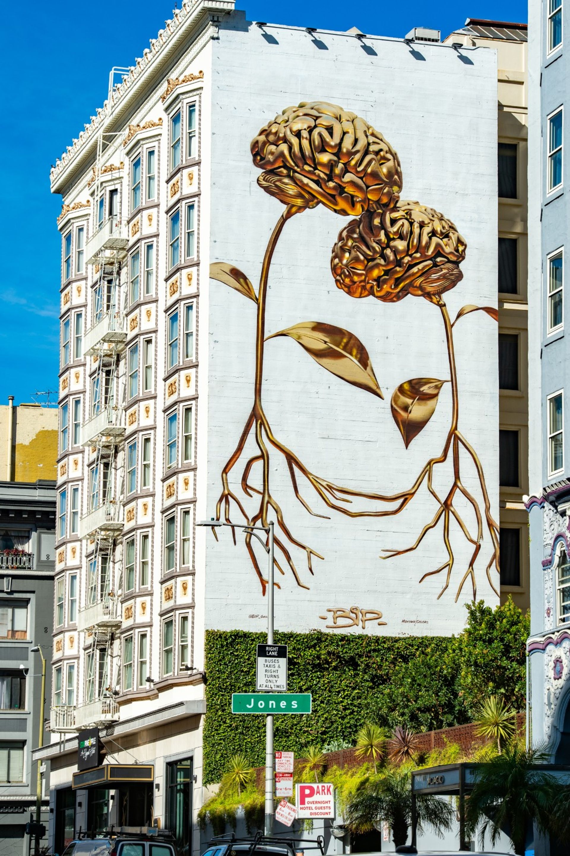 Staypineapple: An Elegant San Francisco Hotel image 1