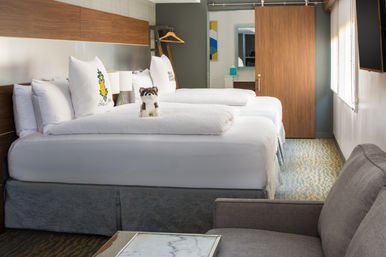 Bright modern hotel room with two neatly made beds in white linens, pineapple-embroidered pillows, a cute plush husky on the near bed, sliding wooden barn door to the bathroom, gray armchair, wall-mounted TV and natural light from a window.