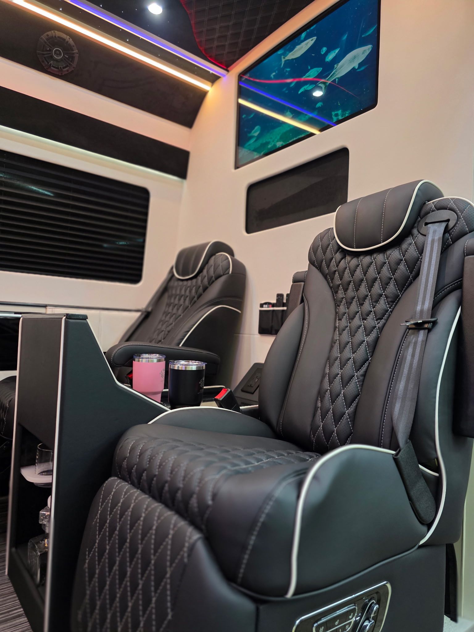 Wedding Guest Luxury Shuttle Transportation & Bridal Party Sprinter (DC, Baltimore, NoVA) image 4