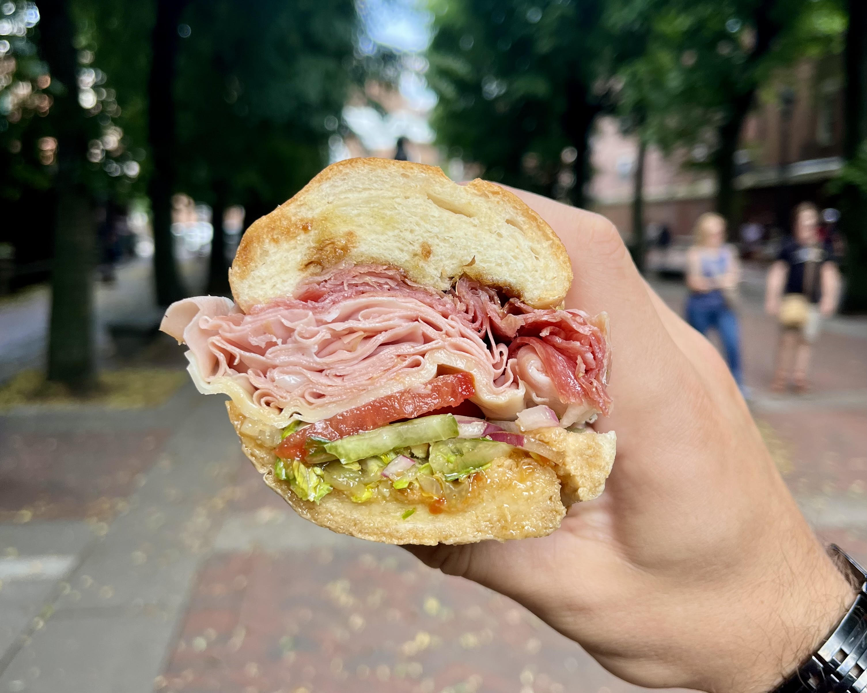Close-up of a handheld deli sandwich with thinly sliced ham and salami, tomato, lettuce, pickles and red onion on a crusty roll, held over a tree-lined city sidewalk