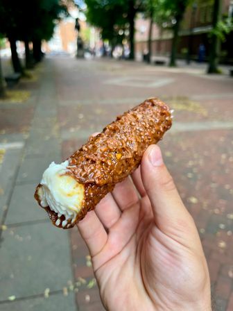 Hand holding a crunchy caramel-and-nut coated pastry tube filled with swirled vanilla cream, street snack photographed on a tree-lined city sidewalk.