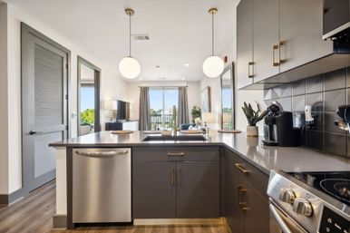 The Muse Downtown Condo: Hotel Style Amenities + Rooftop Views image 27