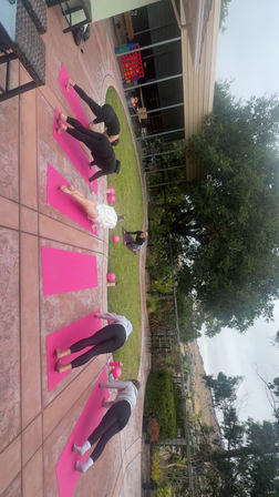 Group outdoor yoga on bright pink mats on a backyard patio beside a grassy lawn and large oak tree, participants in plank/forward-fold poses with an instructor and rolling hills visible beyond.
