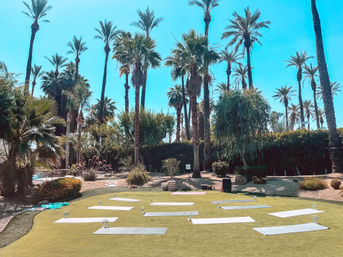 Sunny palm-lined lawn set for outdoor yoga with yoga mats and water bottles spaced on green turf beneath tall palm trees and a clear blue sky.