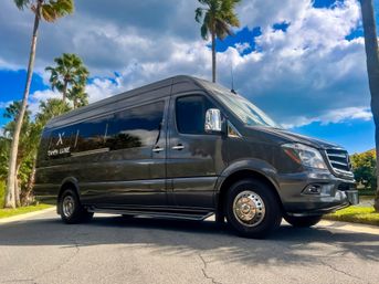 Dark gray luxury passenger van with chrome wheels parked on a palm‑lined Florida street under a bright blue, partly cloudy sky.