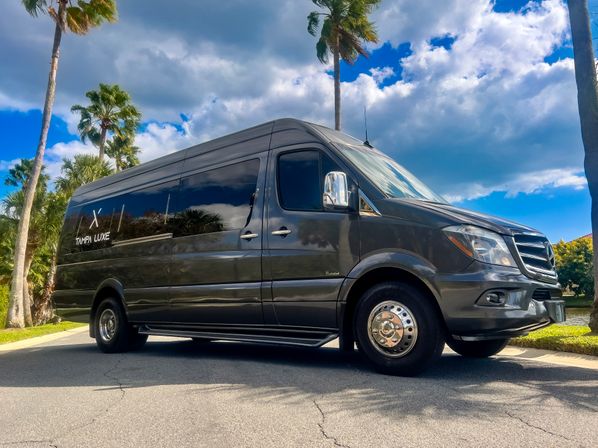 Dark gray luxury passenger van with chrome wheels parked on a palm‑lined Florida street under a bright blue, partly cloudy sky.