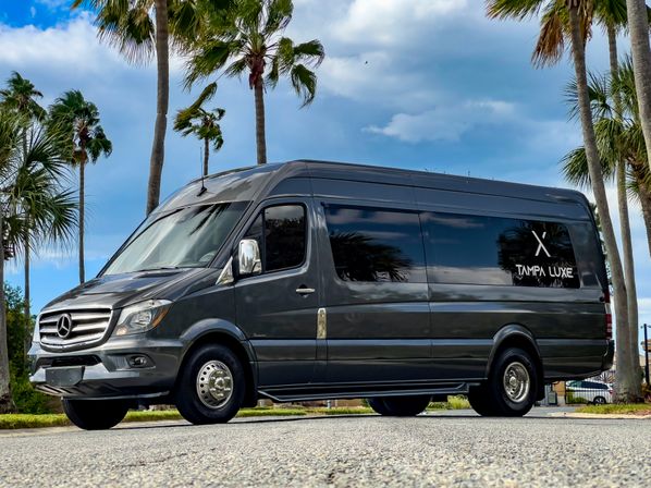 Dark gray Mercedes-Benz Sprinter luxury passenger van parked on a palm-lined Florida street under a blue sky with scattered clouds.