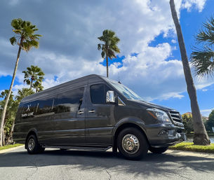 Sleek dark gray passenger van parked on a palm-lined Florida street, chrome wheels gleaming beneath a bright blue sky with puffy clouds