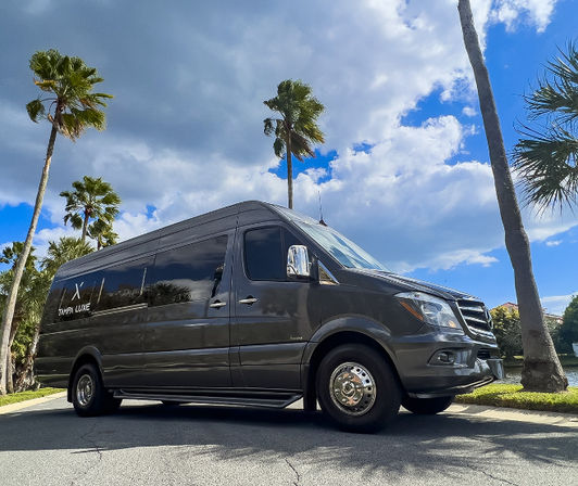 Sleek dark gray passenger van parked on a palm-lined Florida street, chrome wheels gleaming beneath a bright blue sky with puffy clouds