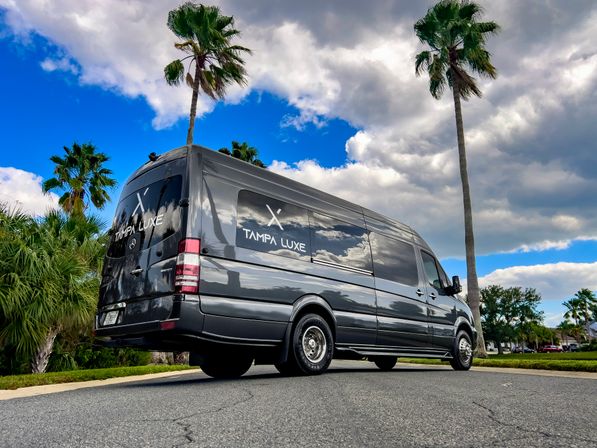 Low-angle shot of a charcoal high-roof luxury shuttle van on a palm-lined Florida street under a vivid blue sky with dramatic clouds.