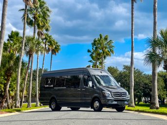 Sleek dark-gray luxury passenger van parked on a palm-lined Florida street under a bright blue sky with puffy clouds.
