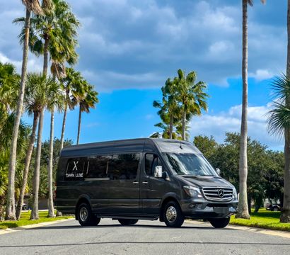 Sleek dark-gray luxury passenger van parked on a palm-lined Florida street under a bright blue sky with puffy clouds.