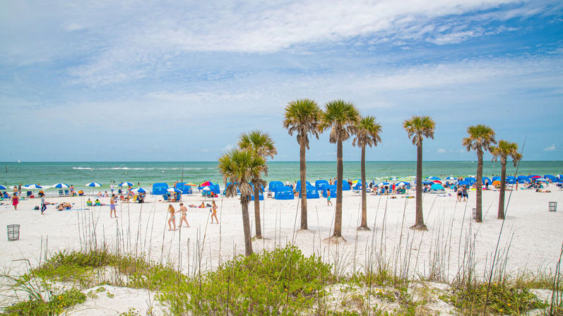 Sunny white-sand beach with a row of palm trees, colorful umbrellas and beachgoers along turquoise sea under a blue sky
