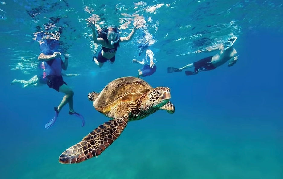 Green sea turtle gliding through clear tropical blue water past a group of snorkelers over a shallow reef, vibrant underwater wildlife scene.