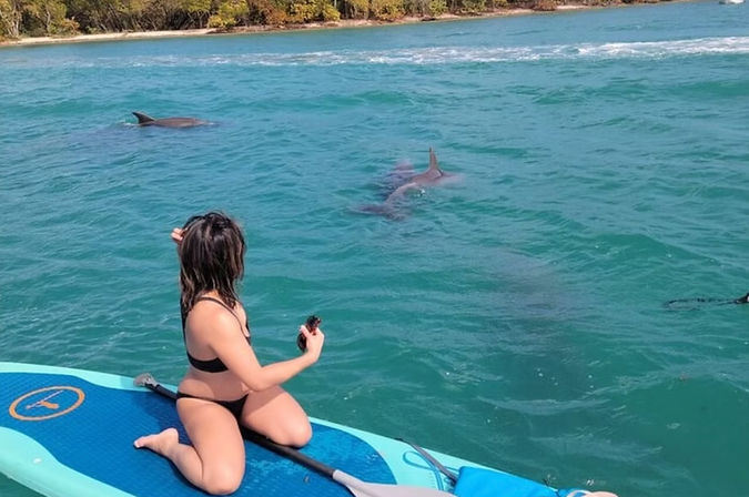 Biscayne Bay Ultimate Boat Trip + Kayak Experience from Venetian Marina image 4