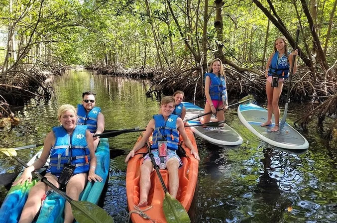 Group of six people in blue life jackets kayaking and stand-up paddleboarding through a sunlit mangrove creek with exposed roots and calm reflective water
