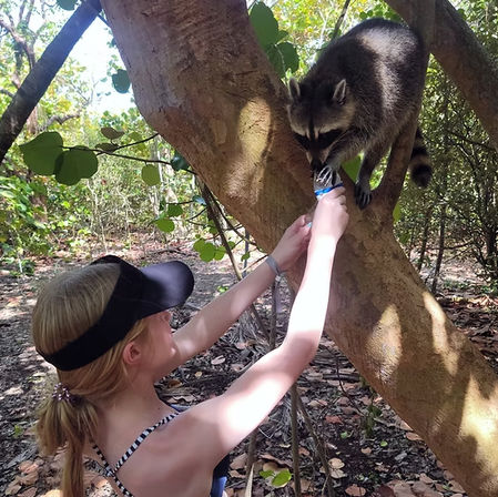 Young person in a visor feeds a curious raccoon perched on a tree branch in a sunlit forest — playful wildlife encounter and outdoor nature moment.